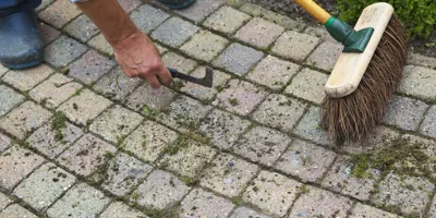 Terrasreiniging: zo kun je tuintegels schoonmaken